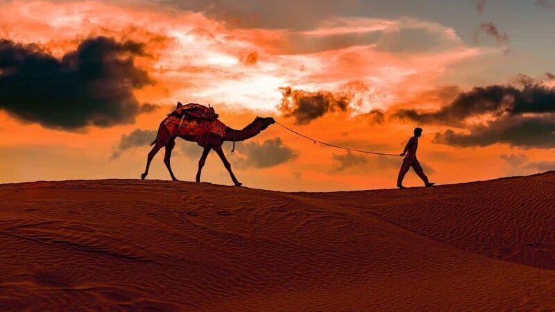 Doha: Private NIGHT desert safari with free camel ride - What to Expect from the Night Safari