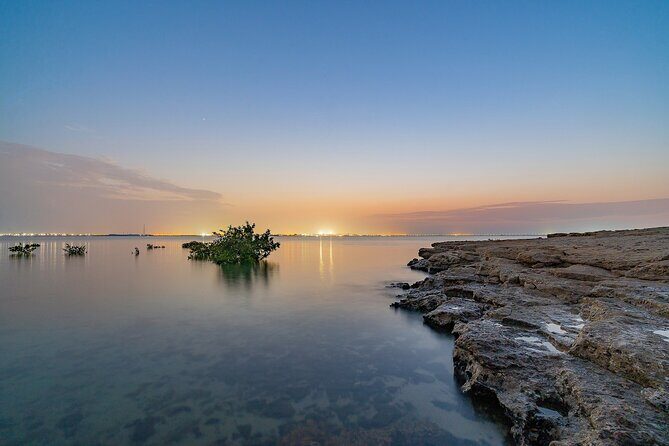 Doha Private North Qatar Tour, Mangroves and Al Zubarah Fort - The Comfort of Private Transportation and Expert Guides