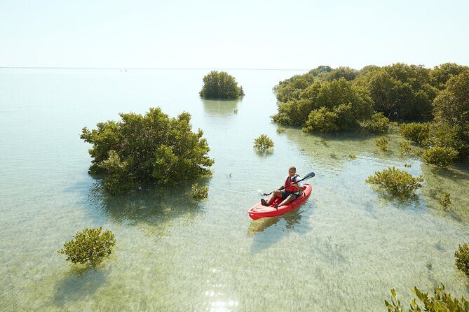 Doha Private North Qatar Tour, Mangroves and Al Zubarah Fort - The Tour’s Practical Details and Value