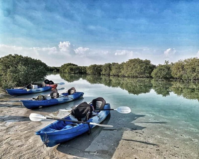 Doha: Private Purple Island Mangroves Kayaking Adventure - Key Points