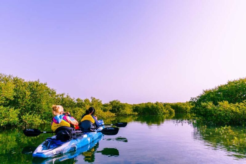 Doha: Private Purple Island Mangroves Kayaking Adventure - The Value of the Experience