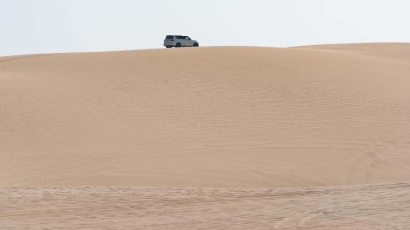 Doha Qatar: Airport Layover or Transfer Desert Safari. - Key Points
