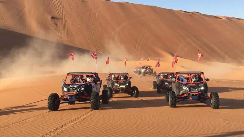Doha Qatar Buggy ride, camel ride, dune bashing, sandboard. - Who Should Consider This Tour?