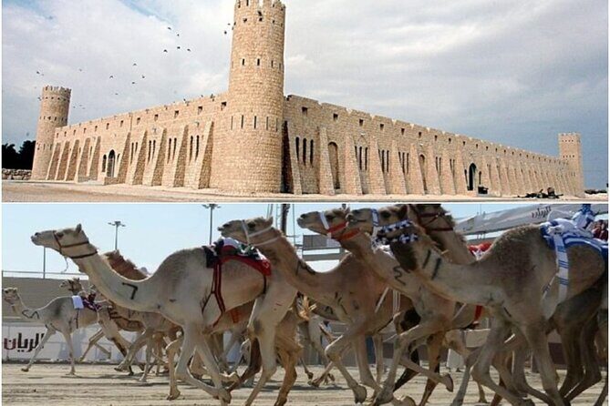 Doha, Qatar: Came Racing Track, Oryx & Sheikh Faisal Museum Tour. - FAQ