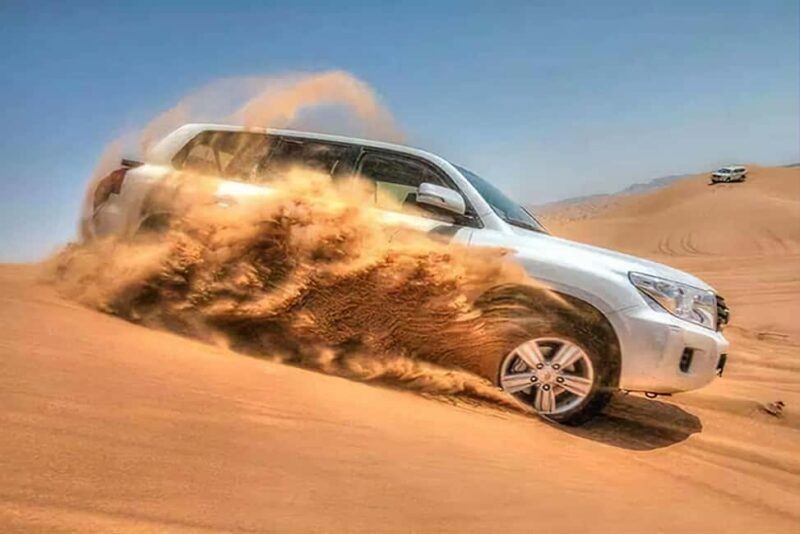 Doha Qatar : sealine adventure Camel Ride sandboard Sunset - Exploring the Desert: What to Expect