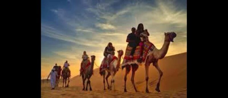 DOHA: Quad Bike/Buggy, Dune Bashing, Camel Ride, Desert Tour - Camel Ride and Sunset Views