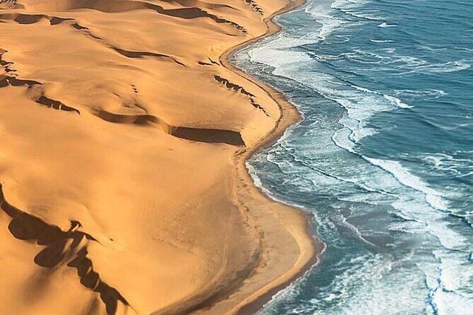 Doha Quad Bike, Dune Bashing, Camel Ride and Inland Sea Tour - Key Points