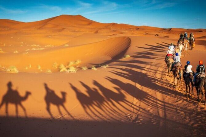 Doha Quad Bike, Dune Bashing, Camel Ride and Island Sea Tour - Authentic Experiences That Keep Visitors Coming Back