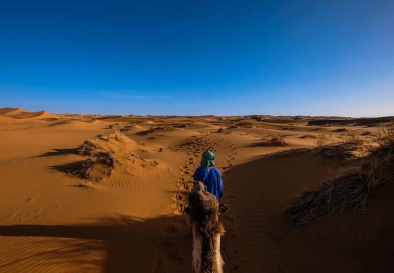 Doha: Quad Bike, Dune Bashing, Camel Ride & Inland Sea Tour - FAQ