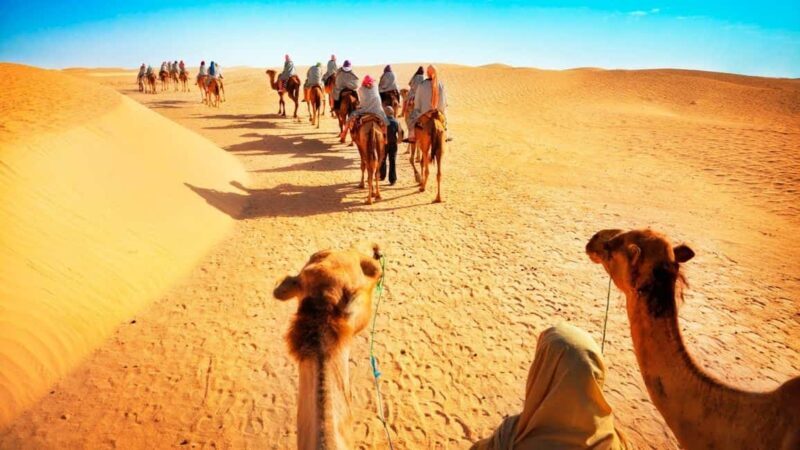 Doha: QuadBike, Buggy, Camel Ride, DuneBashing, Sandboarding - Introduction: An Exciting Desert Escape