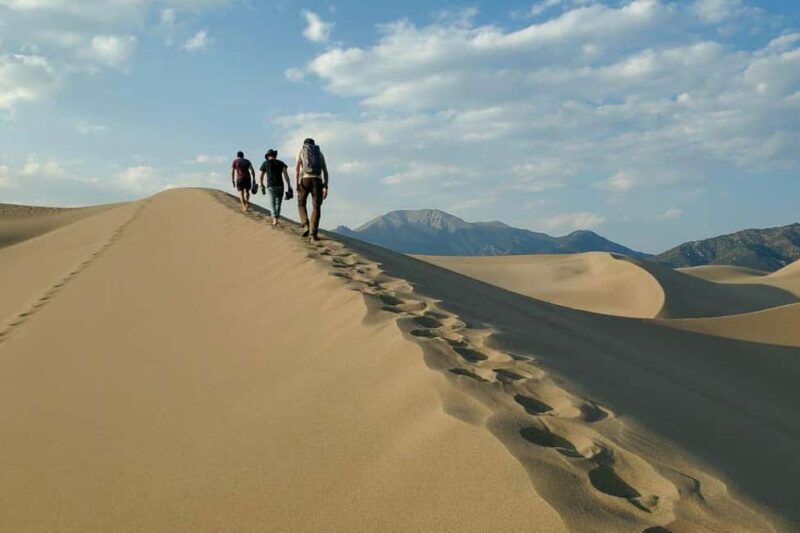 Doha: QuadBike, Buggy, Camel Ride, DuneBashing, Sandboarding - The Sum Up: Who Should Consider This Tour