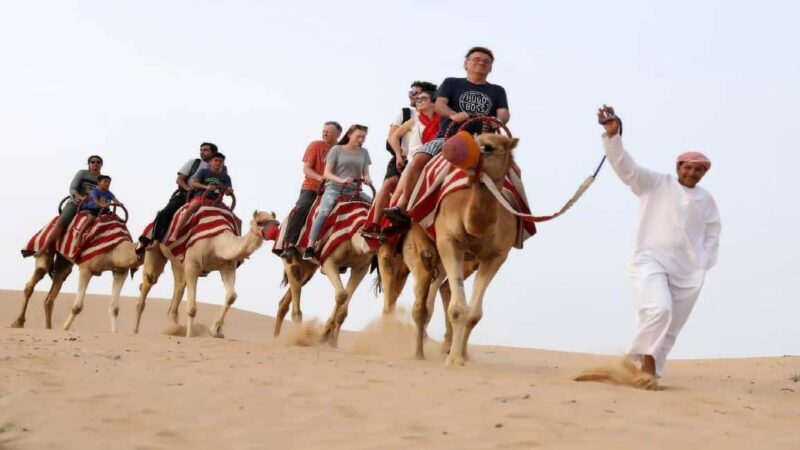 Doha: Safari, ATV, Camels, Sandboarding and Inland Sea Tour - Key Points