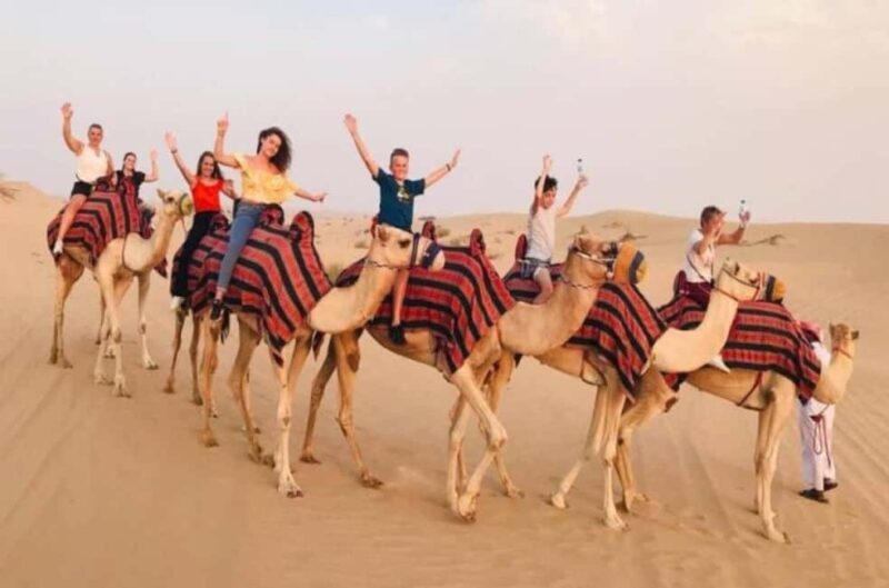 Doha: Safari ATV Ride Dunes Bashing and Camel Ride - A Detailed Look at the Desert Safari Experience