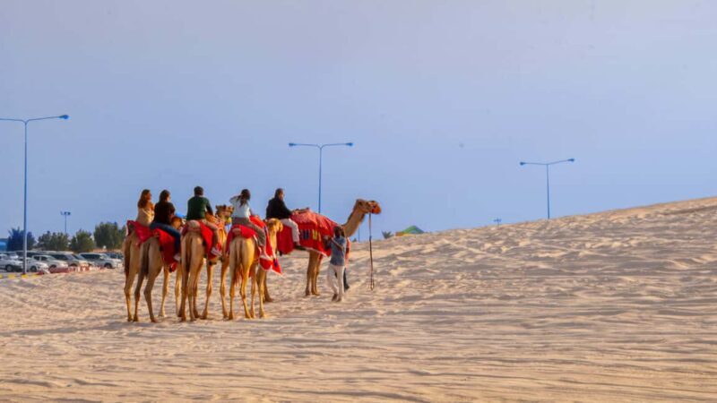 Doha: Safari, Camel Ride, Sandboarding and Inland Sea Tour - Key Points