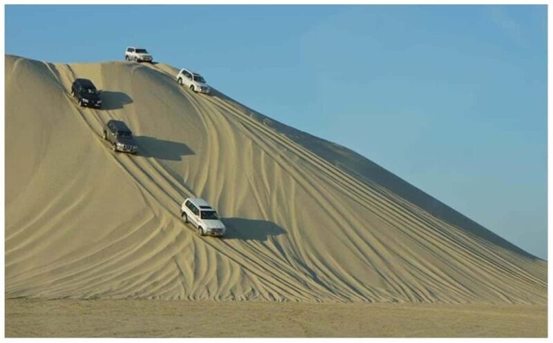 Doha: Safari, Camel Ride, Sandboarding and Inland Sea Tour - Who Will Love This Tour?