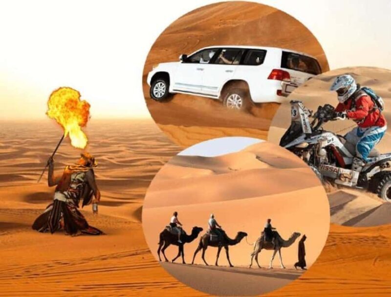 Doha: Safari, Camel Ride, Sandboarding and Inland Sea Tour - Key Points