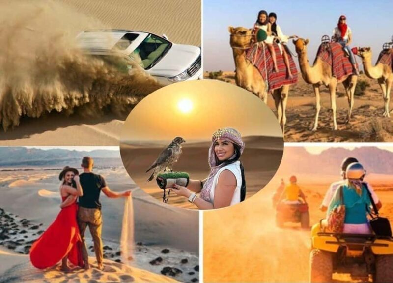 Doha: Safari, Camel Ride, Sandboarding and Inland Sea Tour - An Adventure That Offers More Than Just a Ride