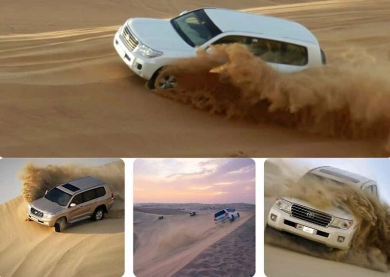 Doha: Safari, Camel Ride, Sandboarding and Inland Sea Tour - The Sum Up