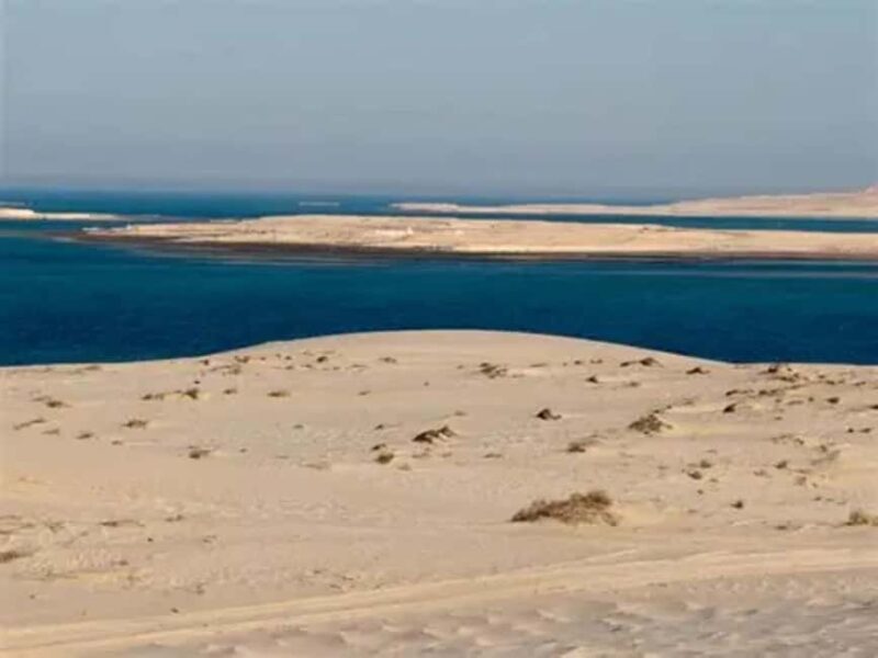 Doha Safari- Quadbike, Camel Ride, Sandboarding & Inland Sea - Key Points
