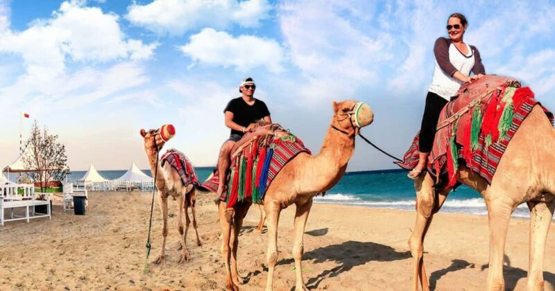 Doha Safari- Quadbike, Camel Ride, Sandboarding & Inland Sea - FAQs
