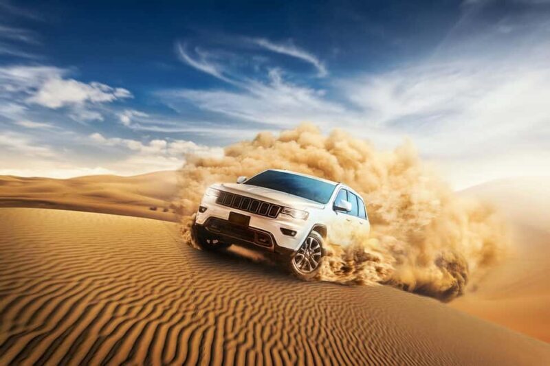 Doha Safari Quadbike, CamelRide, Sandboarding & Inland Sea - The Experience: From Dunes to the Ocean