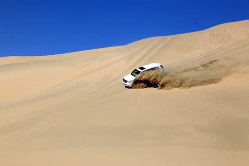 Doha Safari with Camel Ride, Inland Sea & Hotel Transfer - FAQ