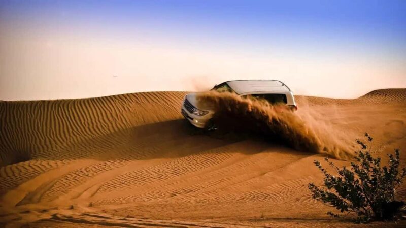 Doha: Shared Desert Safari, Sandboarding, Camel Ride - Key Points