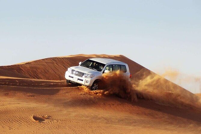 Doha Sharing Desert Safari with Dune Bashing and Sand Boarding - Who Should Book This Tour?