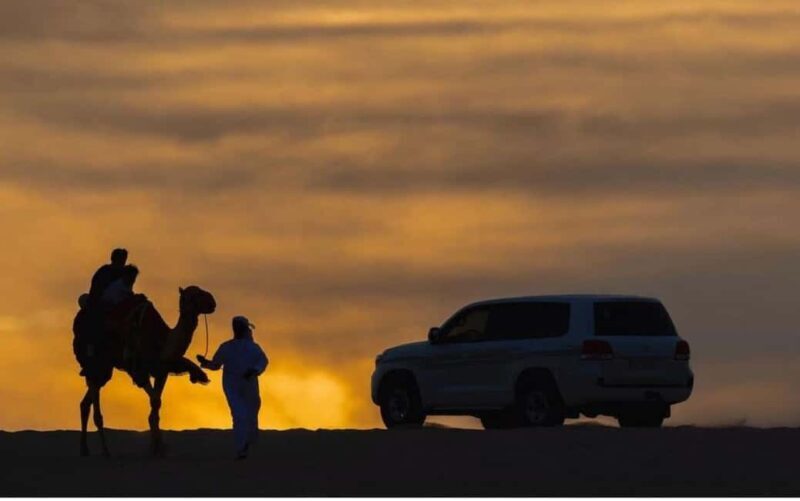 Doha: Stargazing Desert Safari w/ Dune Bashing & Camel Ride - Key Points