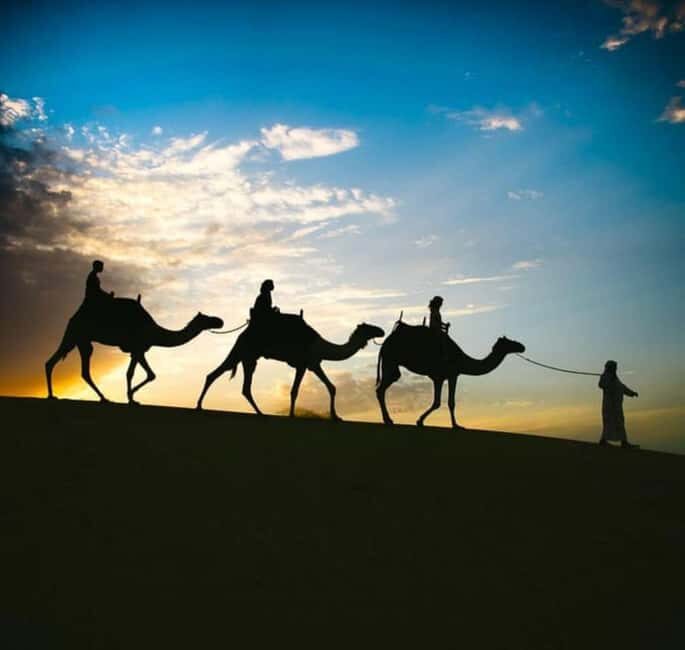 Doha: Stargazing Desert Safari w/ Dune Bashing & Camel Ride - The Value of the Experience