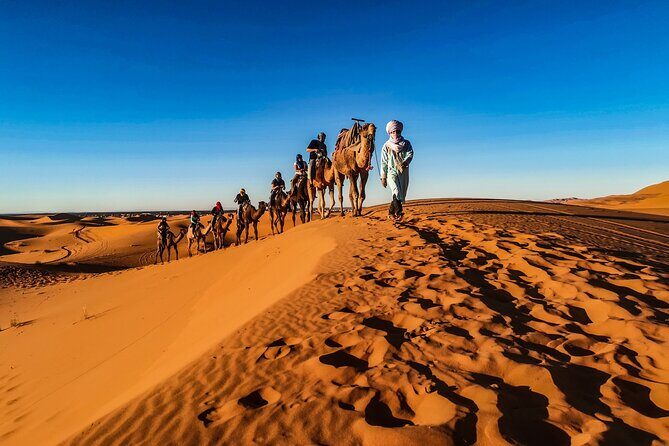 Doha Sunrise Desert Safari Tour| Dune Bashing| Inland Sea visit| Camel Riding - A Thorough Look at the Desert Safari Experience