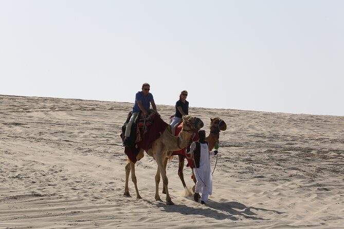 Doha; Sunrise Desert Tour and camel safari 4hrs - FAQ