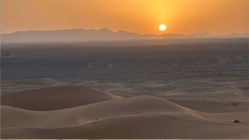 Doha :Sunrise/ Sunset Desert Safari CamelRide & Sandboarding - Key Points