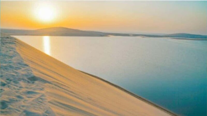 Doha :Sunrise/ Sunset Desert Safari CamelRide & Sandboarding - Dune Bashing: Adrenaline in the Sand