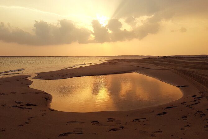 Doha: Sunrise /Sunset Desert Safari with Sand Boarding,Camel ride - Starting Point: Pickup and Early Moments