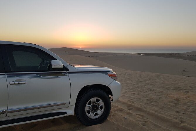 Doha: Sunrise /Sunset Desert Safari with Sand Boarding,Camel ride - Viewing the Inland Sea and Wildlife Spotting