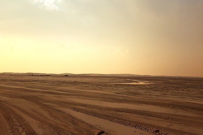 Doha: Sunrise /Sunset Desert Safari with Sand Boarding,Camel ride - Return and Drop-Off