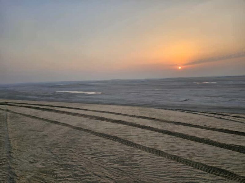 Doha Sunrise/Sunset or Night Stargazing desert safari. - Why the Guides Make a Difference
