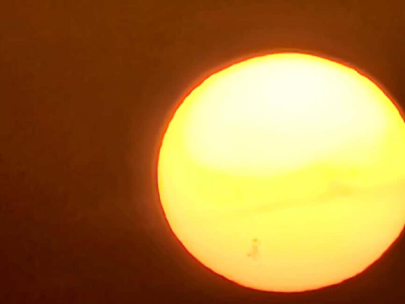 Doha Sunrise/Sunset or Night Stargazing desert safari. - A Closer Look at the Experience