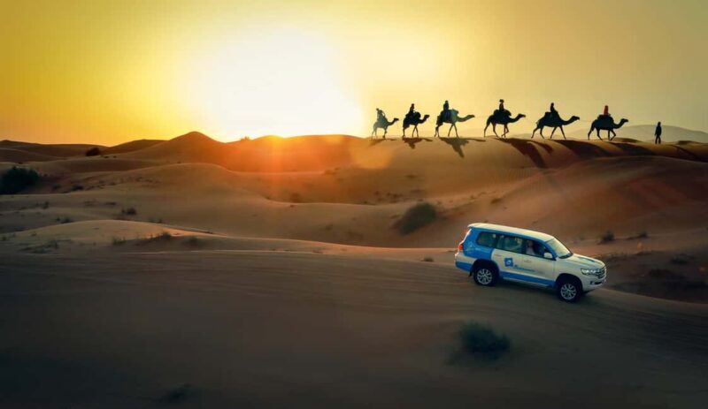 Doha: Sunset Desert Safari, ATV, Camel Ride and Sandboarding - Key Points