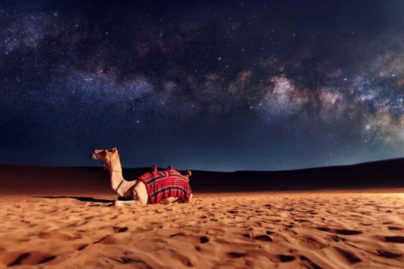 Doha: Sunset Desert Safari, ATV, Camel Ride and Sandboarding - The Experience in Practice: What to Expect