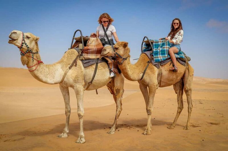 Doha: Sunset Desert Safari, ATV, Camel Ride and Sandboarding - Authentic Experiences and Common Praise