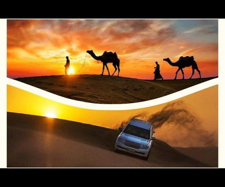 Doha: Sunset Desert Safari with Camel Ride & Sandboarding - Key Points