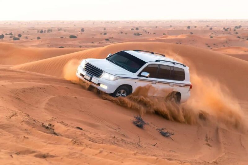 Doha Sunset or Sunrise Desert Safari, Camel Ride, Inland Sea - Key Points