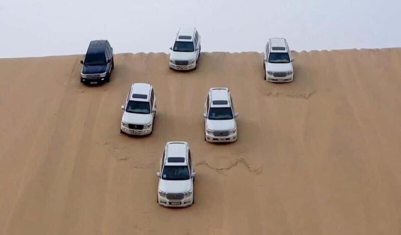 Doha : Sunshine Or Sunset Desert Safari With Sand Boarding - Practical Details and Tips