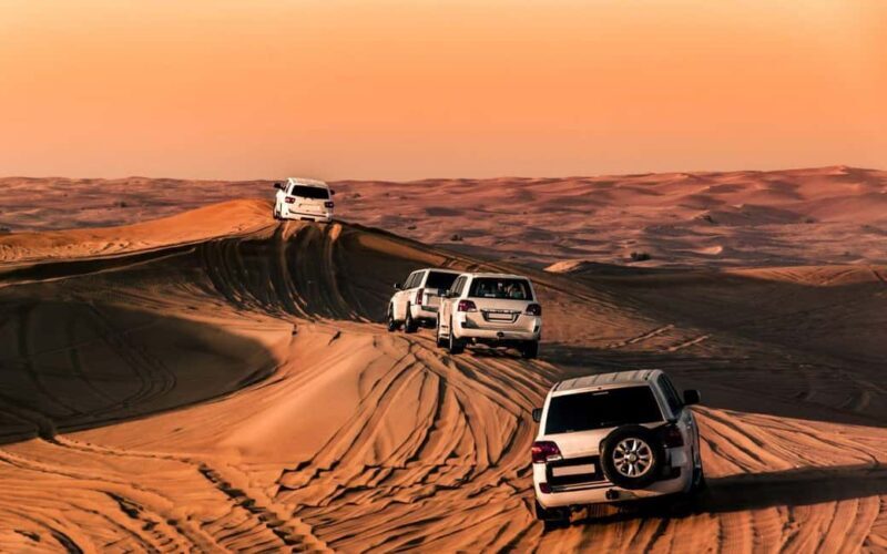 Doha : Sunshine Or Sunset Desert Safari With Sand Boarding - Who Should Consider This Tour?