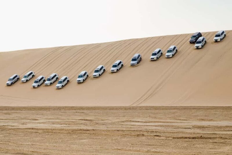 Doha : Sunshine Or Sunset Desert Safari With Sand Boarding - The Sum Up: Who Will Love This Experience?