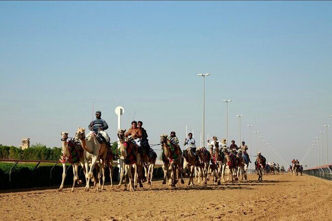 Doha: West Coast Tour Sculpture,Camel Racing Track Rock Formation - Key Points