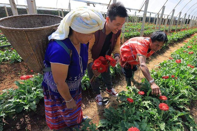 Doi Inthanon Day Trip from Chiang Mai including Karen Hill Tribe & Twin Pagodas - An In-Depth Look at the Itinerary