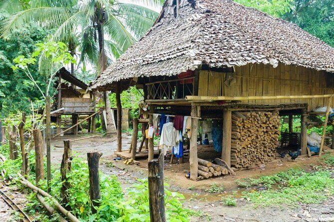 Doi Inthanon Day Trip from Chiang Mai including Karen Hill Tribe & Twin Pagodas - Who Should Consider This Tour?